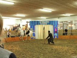 IMG_5173_web